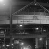 本千葉・夜03