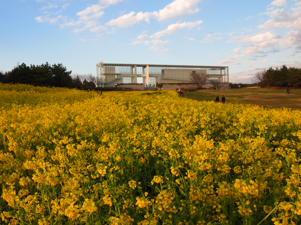 ３月の葛西臨海公園