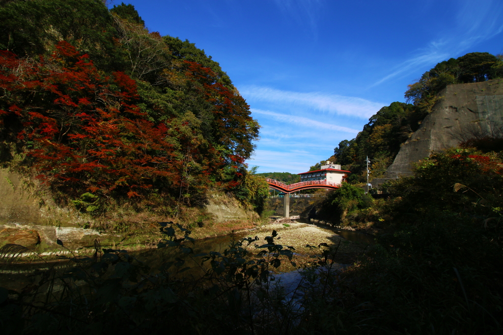 紅葉