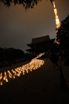 吸い込まれていく天の河