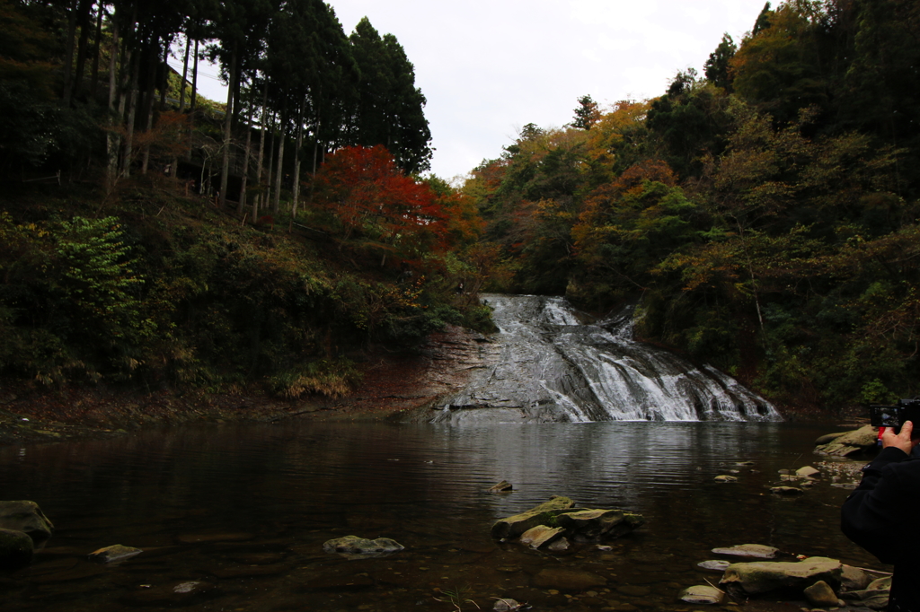養老の滝