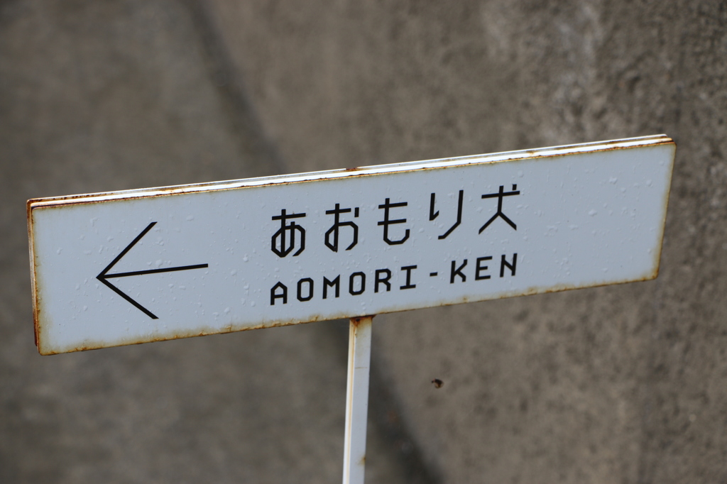 あおもり犬