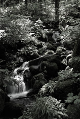 静寂