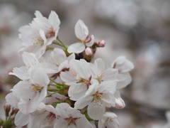 P3310030