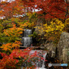 桜山公園