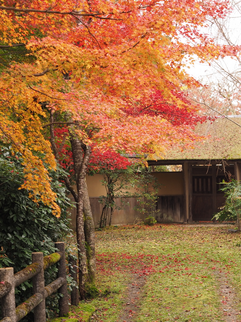 吉野山にて