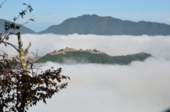 DSC_8107    雲海からの竹田城