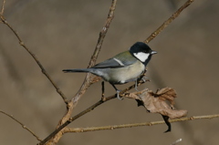 P1000306