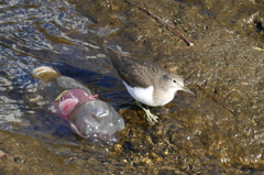 P1000273