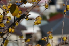 P1000216
