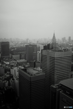 Tokyo in mist.