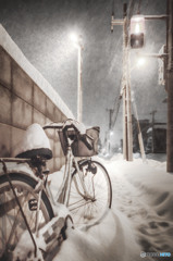 降る雪と自転車