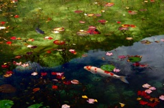 透き通る池と紅葉