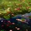 透き通る池と紅葉