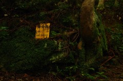 山道にて