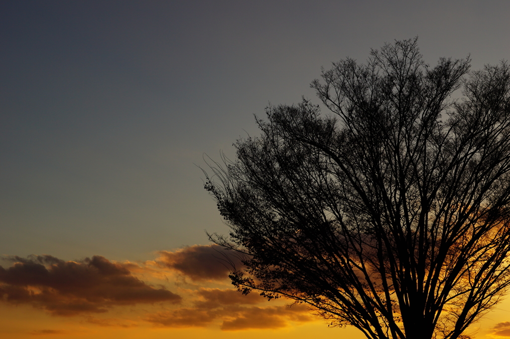 夕暮れ