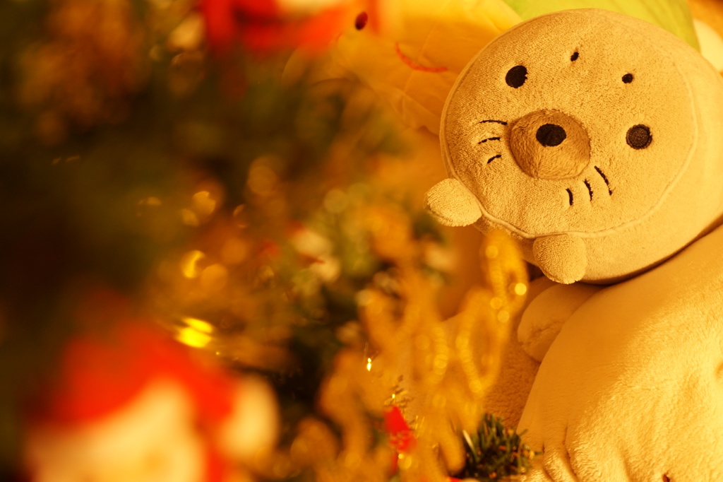 クリスマスが待ち遠しい！