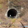 夏には近づけなかった場所に
