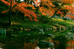 小石川後楽園　