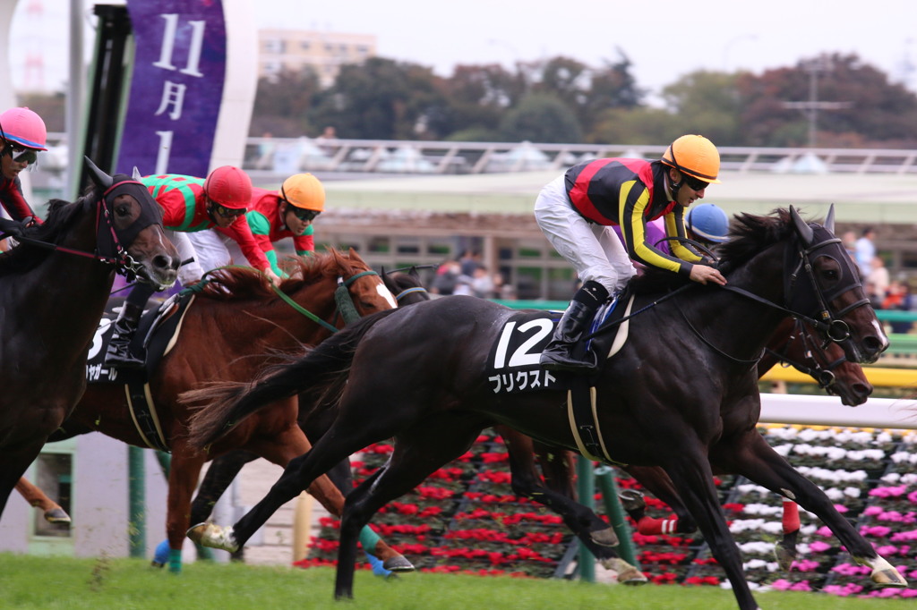 府中競馬場