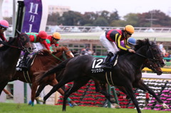 府中競馬場