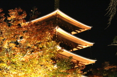 金色の五重の塔