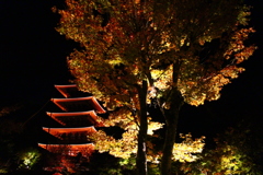 紅に染まる