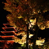 紅に染まる