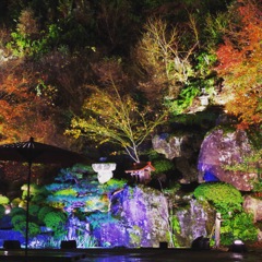 与謝野  慈徳院