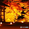 紅い石畳