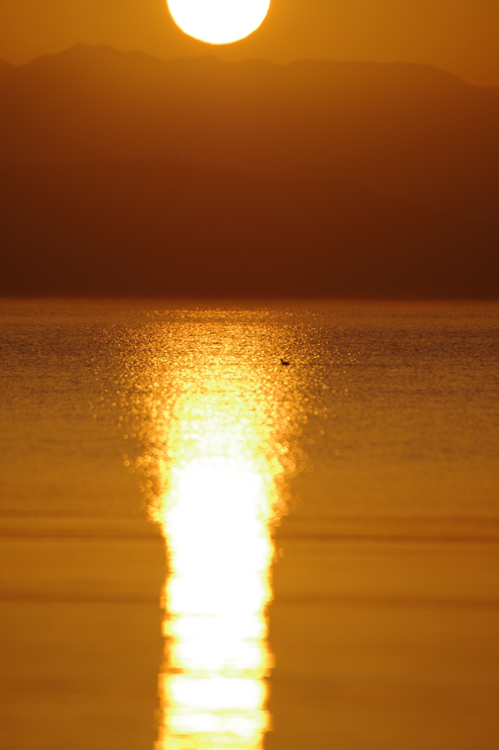 琵琶湖の日の出