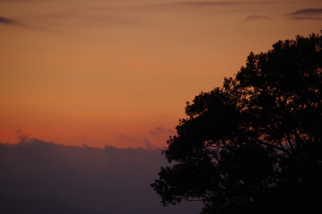 7月26日琵琶湖の夕日2