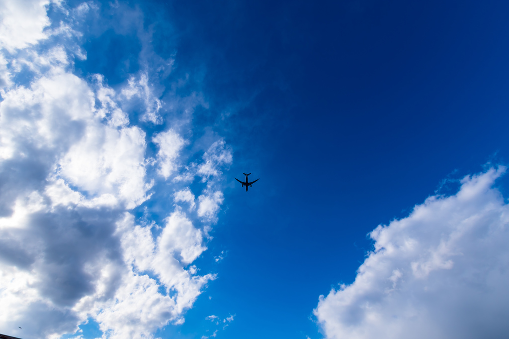 青空と　1