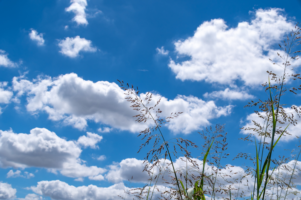 青空と白い雲　1