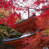 大威徳寺の紅葉4