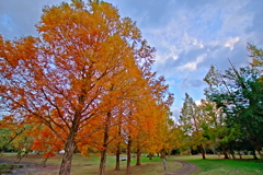 紅葉公園5