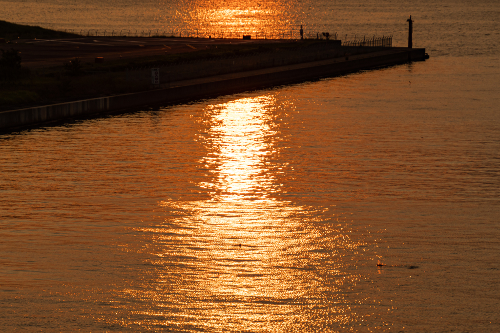 大阪湾夕日2