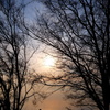 琵琶湖夕景1