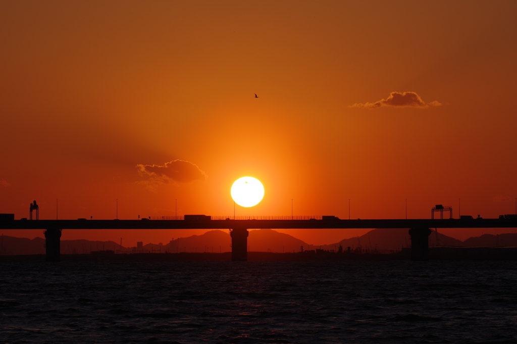suset photograph 2