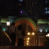 夜の花4