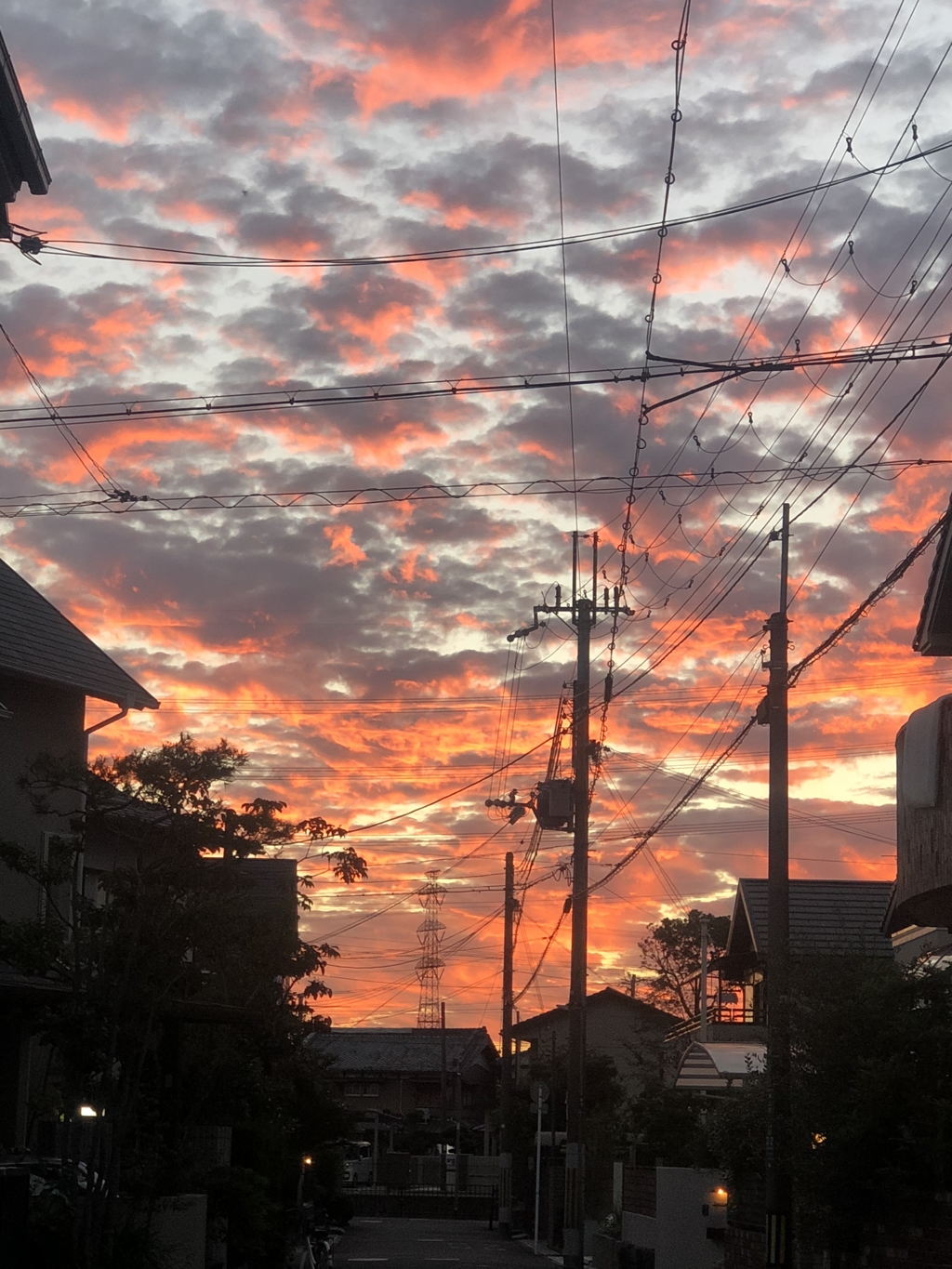 昨日の夕焼け2