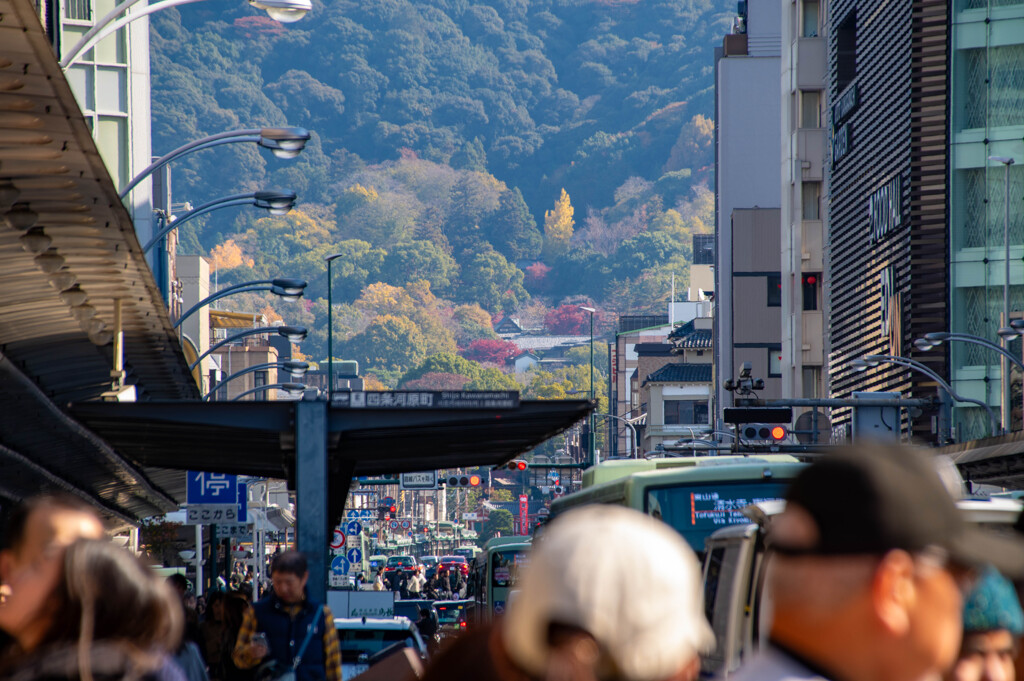 紅葉京都