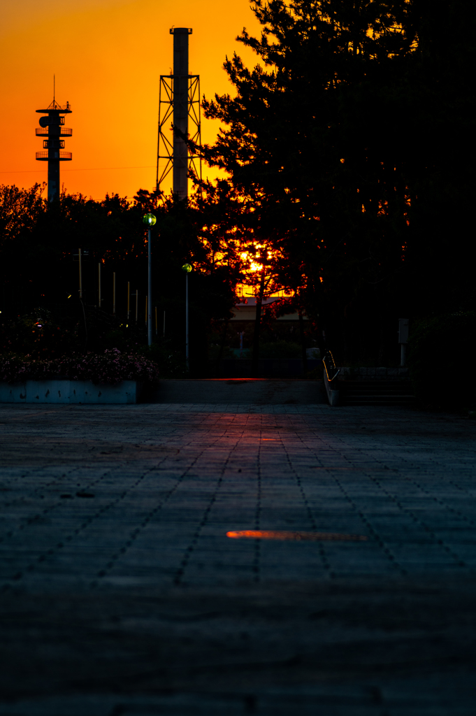 夕焼け帰り道