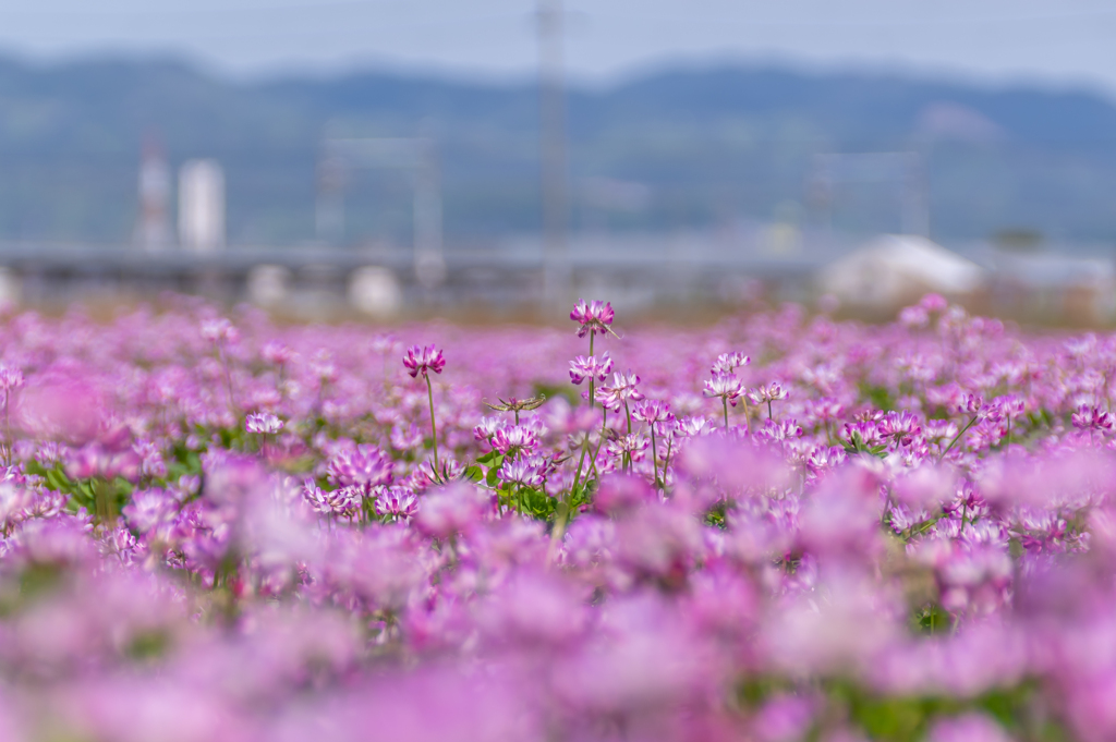 サイクリング　1