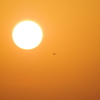 夕焼け飛行3