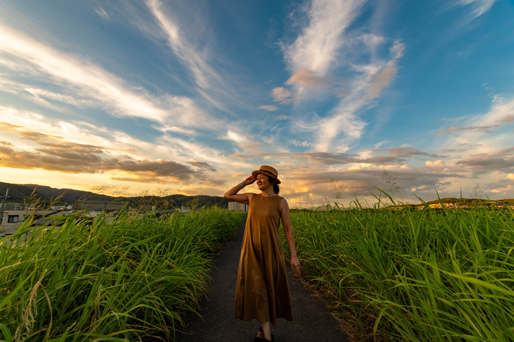Midsummer　夕雲
