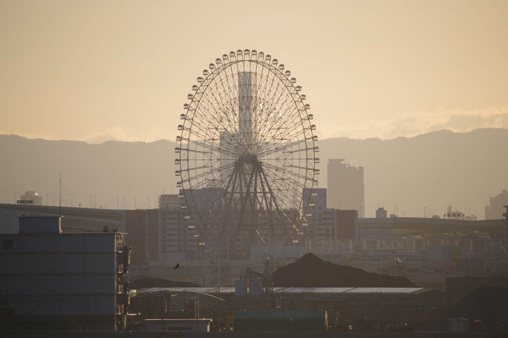 大阪夜明け4