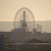 大阪夜明け4