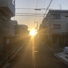 今朝の朝日