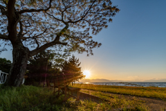 夕陽に染まるベンチ